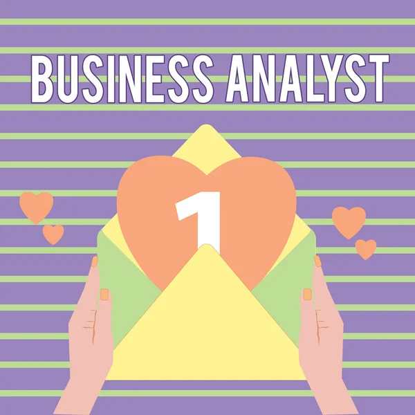 Εννοιολογική γραφή χέρι δείχνει Business Analyst. Επιχειρηματική φωτογραφία που δείχνει κάποιον που αναλύει μεγάλο οργανισμό ή τομέα ιστοχώρου — Φωτογραφία Αρχείου