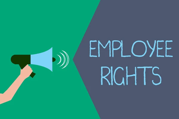 A munkavállalói jogokat bemutató feljegyzés. Üzleti fotó bemutatása Minden alkalmazottnak alapvető jogai vannak a saját munkahelyén — Stock Fotó