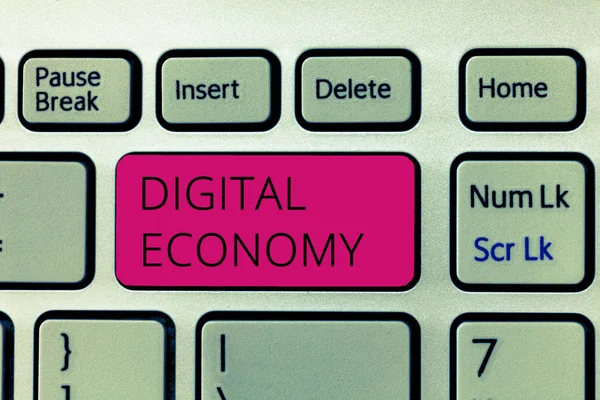 디지털 경제 (Digital Economy) 라고도 한다. 전 세계 경제 활동 및 기술의 네트워크에 대한 사업 개념 — 스톡 사진