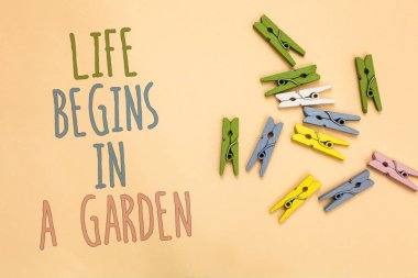 A bahçe içinde hayat başlar gösterilen metin işareti. Kavramsal fotoğraf boyalı metinleri renkli ataç ile Bahçe sarı tabanı için sevgi dolu tarım bitki yetiştirme rastgele yere koydu.
