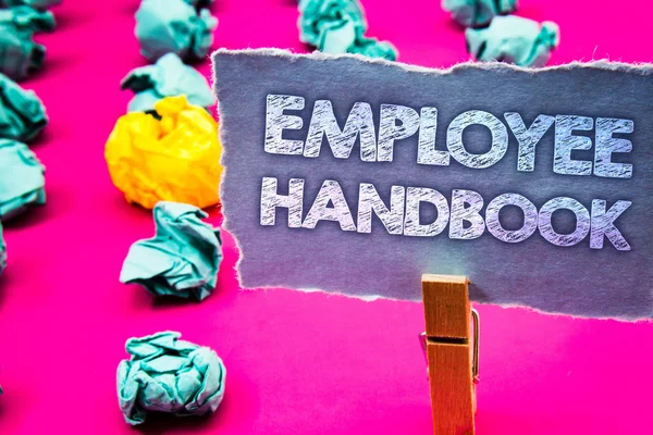 Writing note showing Employee Handbook. Business photo showcasing Document Manual Regulations Rules Guidebook Policy Code Words torn paper wooden clip pink background crumbled yellow blue note.