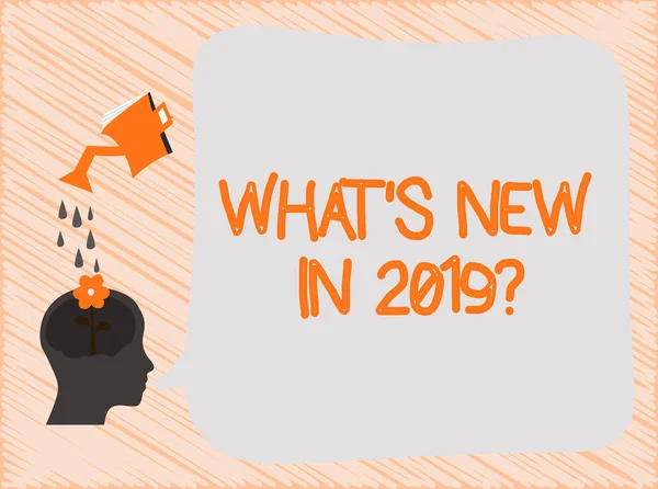 Sinal de texto mostrando o que é novo Em 2019 pergunta. Foto conceitual Expectativas e surpresas para o próximo ano — Fotografia de Stock