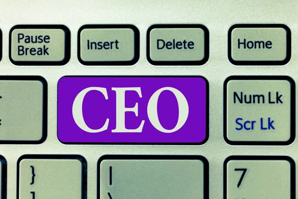 Sana kirjoittaa tekstiä Ceo. Yrityksen johtamisesta vastaavan päähenkilön liiketoimintakonsepti Operaattori — kuvapankkivalokuva