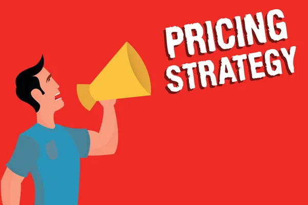문서 작성 전략 (Pricing Strategy). 개념적 의미는 판매 단위 또는 전체 시장에 대 한 최대 이익을 설정 — 스톡 사진