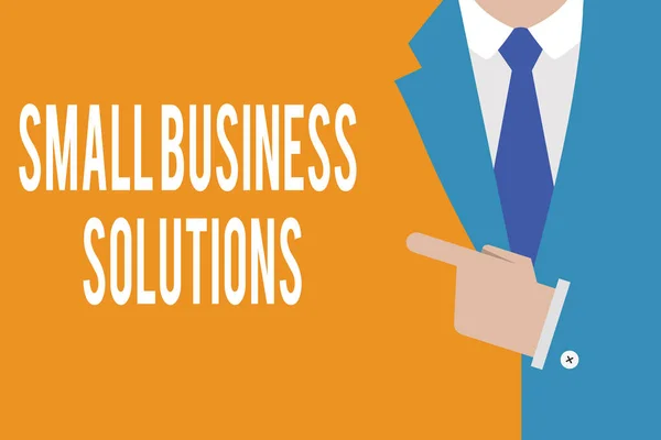 Текст для написання слів Small Business Solutions. Концепція бізнесу для компанії для вирішення конкретних торгових проблем — стокове фото