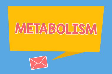El yazısı metin metabolizma. Kimyasal anlam kavramı vücutta enerji gıda üretmek için işler