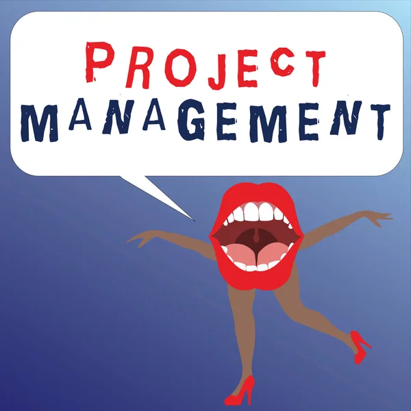 Nota di scrittura che mostra Project Management. Business photo showcase Competenze di processo applicativo per il raggiungimento di obiettivi e obiettivi — Foto Stock