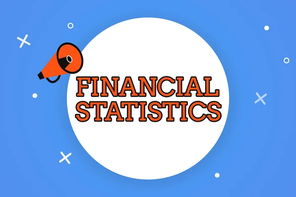 Wortschreibtext Finanzstatistik Geschäftskonzept Für Umfassende Bestands Und Strömungsdaten Eines Unternehmens — Stockfoto