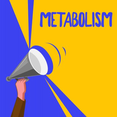 Word metin yazma metabolizma. Vücutta enerji gıda üretmek için iş kavramı kimyasal için işler