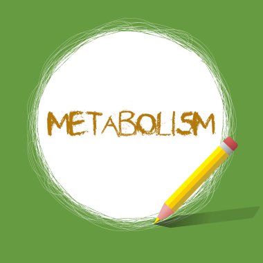 El yazısı metin metabolizma. Kimyasal anlam kavramı vücutta enerji gıda üretmek için işler