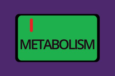 Metabolizma gösterilen metin işareti. Kavramsal Foto kimyasal enerji gıda üretmek için gövdesini işler
