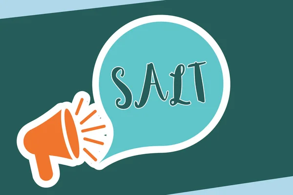 Ord att skriva texten Salt. Affärsidé för används för smaksättning och bevara mat vitt kristallint ämne — Stockfoto