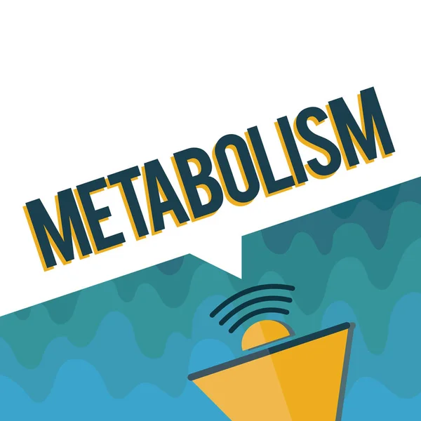 Texto manuscrito Metabolismo. Concepto significado Procesos químicos en el cuerpo para producir energía procesamiento de alimentos — Foto de Stock