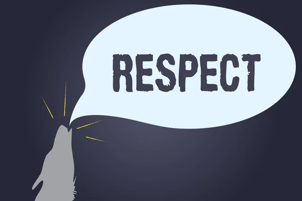 Handgeschreven tekst Respect. Concept, wat betekent dat gevoel van diepe bewondering voor iemand of iets waardering — Stockfoto