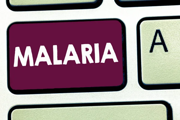 Text sign showing Malaria. Conceptual photo Life threatening mosquito borne blood disease Periods of fever — Stock Photo, Image