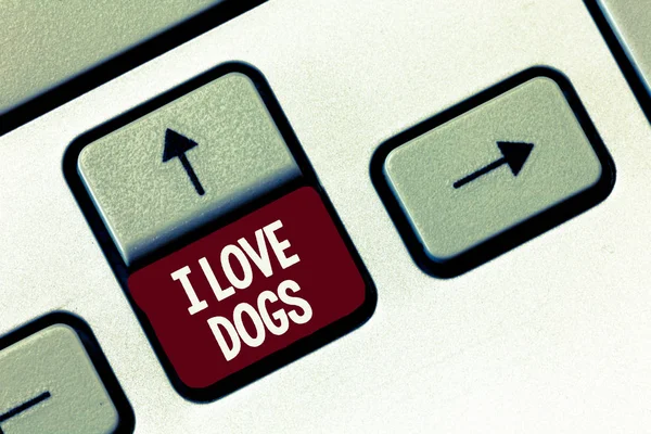 Σύνταξη κειμένου Word μου αγάπη σκυλιά. Επιχειρηματική ιδέα για έχουν καλά συναισθήματα προς κυνόδοντες σαν κατοικίδια ζώα — Φωτογραφία Αρχείου