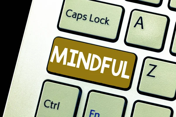 Escritura manual conceptual que muestra Mindful. Foto de negocios mostrando Consciente Consciente de algo Inclinado Dispuesto a hacer Meditación — Foto de Stock