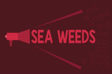 Metin deniz Weeds yazılı kelime. İş kavramı için deniz ya da okyanus deniz bitki flora büyüyen büyük algae