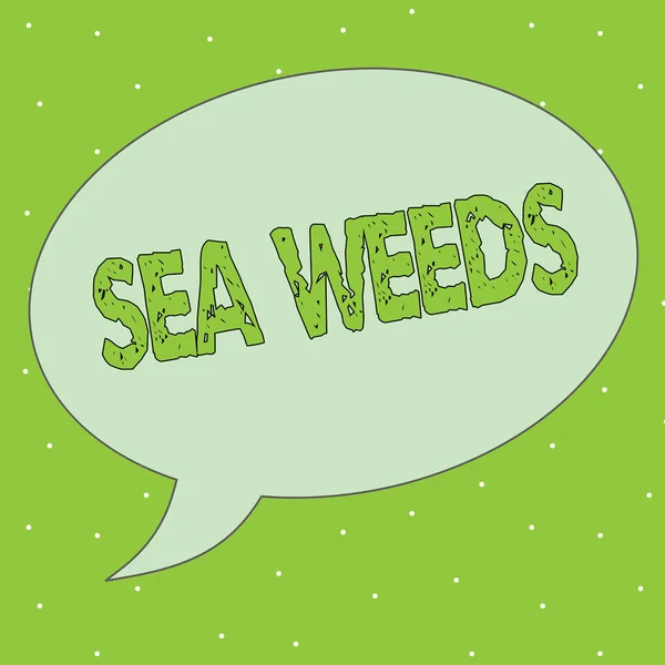 Texto manuscrito Sea Weeds. Concepto que significa Algas grandes que crecen en el mar o el océano Plantas marinas flora — Foto de Stock