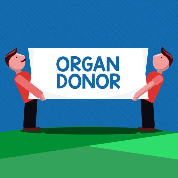 Handwriting text Organ Donor. Concept meaning A demonstrating who offers an organ from their body for transplantation — Stock Photo, Image