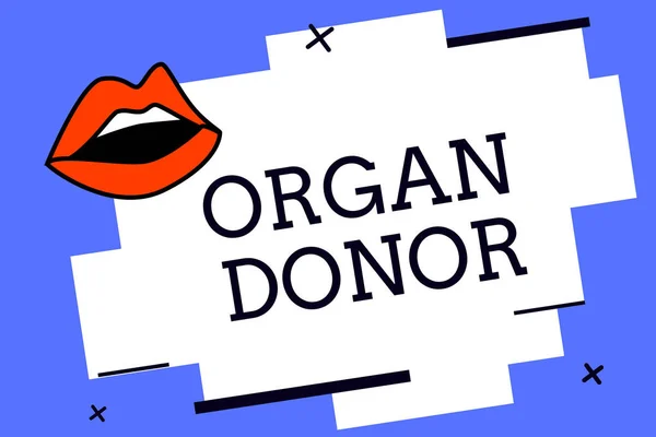 Writing note showing Organ Donor. Business photo showcasing A demonstrating who offers an organ from their body for transplantation