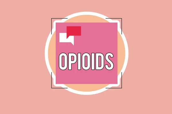 Escribiendo nota mostrando opioides. Foto de negocios mostrando Clase de drogas que incluyen la heroína ilegal Planta de amapola de opio — Foto de Stock