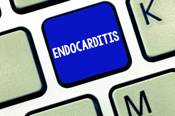 Tekst teken weergegeven: Endocarditis. Conceptuele foto ernstige infectie en zwelling van de binnenste laag van het hart — Stockfoto