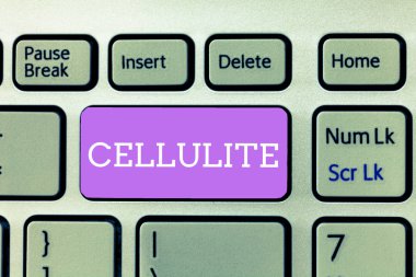 Selülit gösterilen Not yazma. Deri dimpling neden iş fotoğraf vitrine kalıcı subcutaneous yağlı