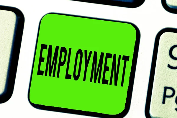 Text sign showing Employment. Conceptual photo State of having paid work Occupation Utilization of something — Stock Photo, Image