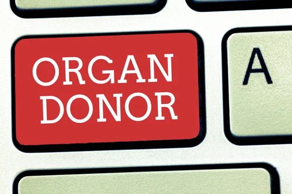 Signo de texto mostrando Donante de Órganos. Foto conceptual Demostración de quién ofrece un órgano de su cuerpo para trasplante —  Fotos de Stock