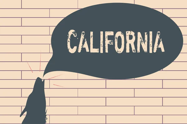 Scrivere testi a mano California. Concetto che significa Stato sulla costa occidentale Stati Uniti d'America Spiagge Hollywood — Foto Stock