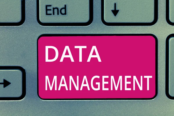 Ecriture conceptuelle montrant la gestion des données. Business photo showcasing La pratique d'organisation et de maintenance des processus de données — Photo