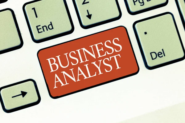 Signo de texto que muestra a Business Analyst. Foto conceptual alguien que analiza gran organización o dominio del sitio web —  Fotos de Stock