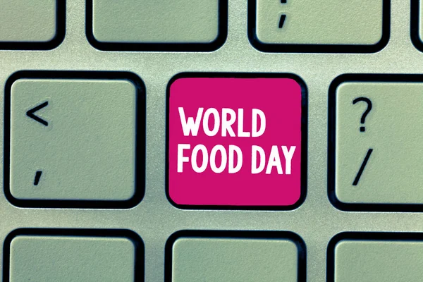 Scrittura concettuale a mano che mostra la Giornata Mondiale dell'Alimentazione. Foto d'impresa in mostra Giornata mondiale d'azione dedicata alla lotta contro la fame nel mondo — Foto Stock