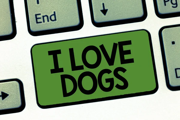 Signo de texto que muestra I Love Dogs. Foto conceptual Tener buenos sentimientos hacia los caninos Gustar a los animales de compañía — Foto de Stock