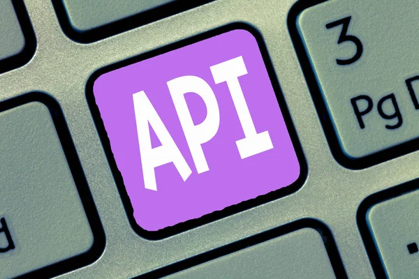 Texto para escribir palabras Api. Concepto de negocio para herramientas para construir software Protocolos de rutinas de programación informática — Foto de Stock