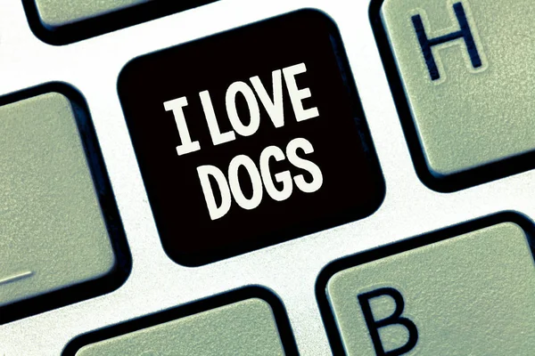 Escritura de texto a mano I Love Dogs. Concepto significado Tener buenos sentimientos hacia los caninos Gustar a los animales de compañía — Foto de Stock
