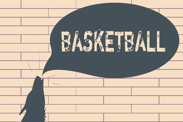 Handschrift Textschreiben Basketball. Konzept bedeutet Sport im Innenhof Spielwettbewerb Ball ins offene Netz werfen — Stockfoto