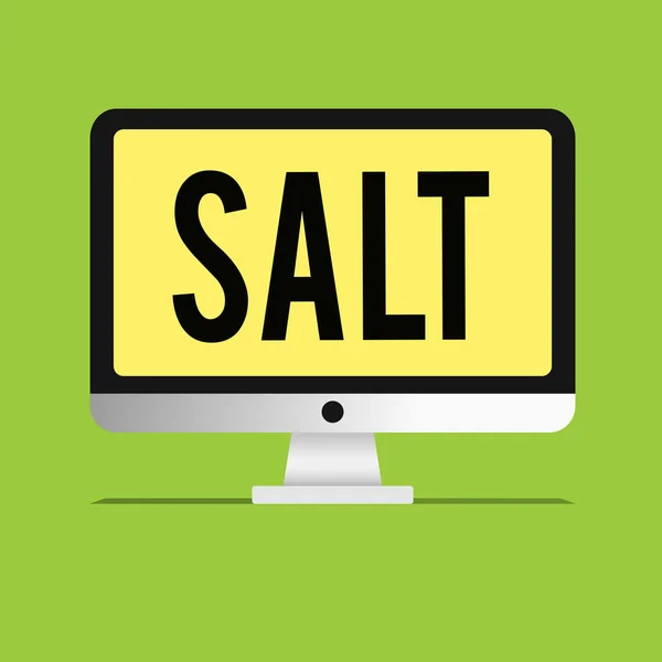 Text sign showing Salt. Conceptual photo Used for seasoning and preserving food White crystalline substance — Stock Photo, Image