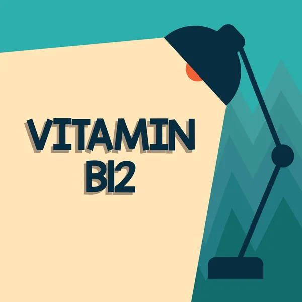Konzeptionelle Handschrift mit Vitamin b12. Business-Foto zeigt eine Gruppe von Substanzen, die für die Funktion bestimmter Enzyme unverzichtbar sind — Stockfoto
