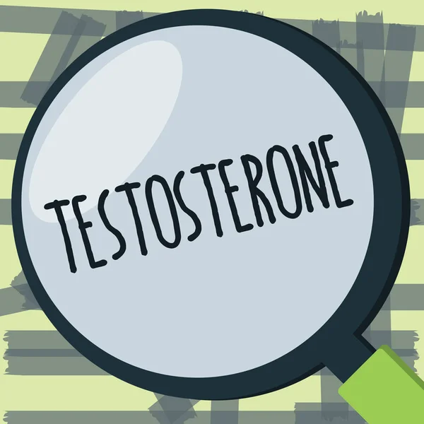 Escrevendo nota mostrando testosterona. Foto de negócios mostrando desenvolvimento hormonal de características sexuais secundárias masculinas — Fotografia de Stock
