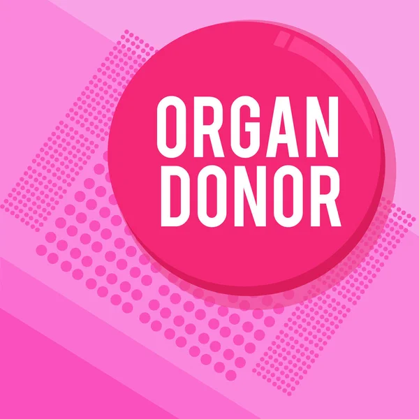 Word writing text Organ Donor. Business concept for A demonstrating who offers an organ from their body for transplantation