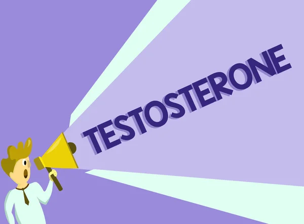 Signo de texto que muestra testosterona. Foto conceptual Desarrollo hormonal de características sexuales secundarias masculinas —  Fotos de Stock