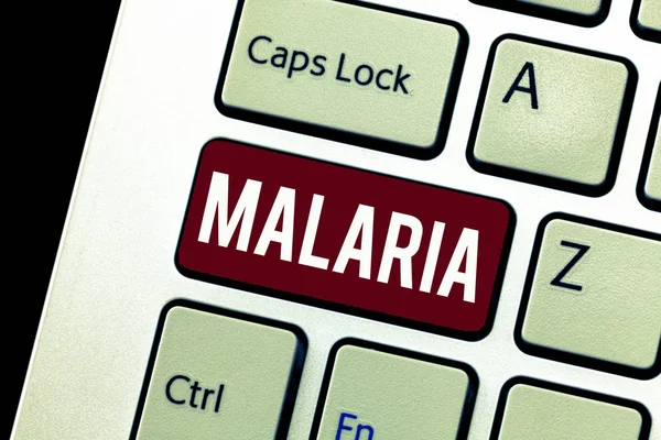 Word writing text Malaria. Business concept for Life threatening mosquito borne blood disease Periods of fever — Stock Photo, Image