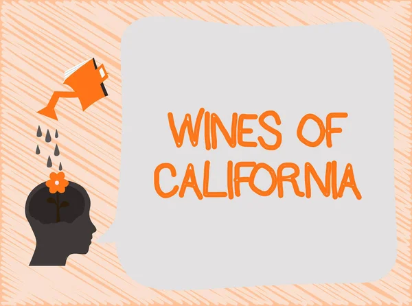 Signo de texto que muestra Vinos de California. Foto conceptual Los mejores enólogos en los EE.UU. Exportar bebidas de calidad — Foto de Stock