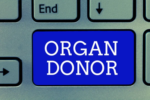 Handwriting text Organ Donor. Concept meaning A demonstrating who offers an organ from their body for transplantation