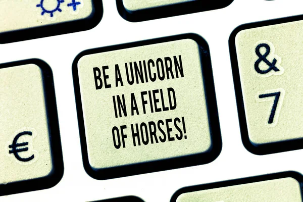 Tulisan tangan konseptual menunjukkan Be A Unicorn In A Field Of Horses. Teks foto bisnis Membuat perbedaan menjadi kunci papan ketik khusus Ketidaktentuan untuk membuat ide pesan komputer . — Stok Foto