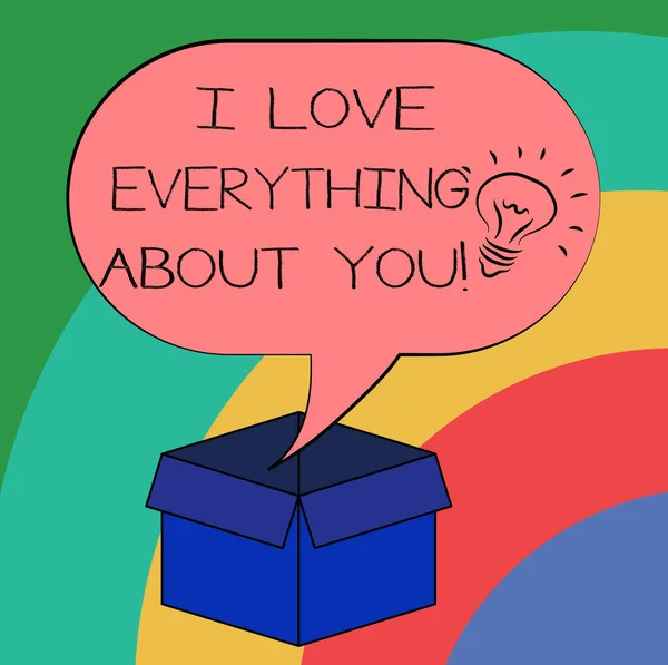 Conceptual hand writing showing I Love Everything About You. Business photo text Expressing roanalysistic feelings and emotions Idea icon in Blank Halftone Speech Bubble Over Carton Box. — Stock Photo, Image