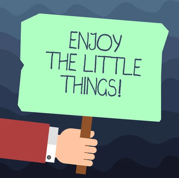 Text tecken visar njuta av The Little Things. Konceptuella foto inspireras av enkla detaljer från livet Motivation Hu analys Hand håller tom färgade plakat med Stick foto Text utrymme. — Stockfoto