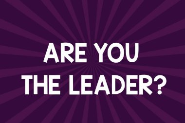Are sen Leaderquestion gösterilen Not yazma. Liderlik şirket yarım ton Sunburst ışını patlama efekti duyuru Poster için dikkat çekici gösteren vitrine iş fotoğraf.